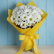 Букет цветов из:  Хризантемы в Михайловка Башкортостан