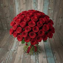 Букет 55 Красных роз Фридом #REPLACE_PRED# Михайловка Башкортостан