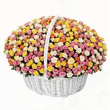 Премиум букет из: Розы в Михайловка Башкортостан