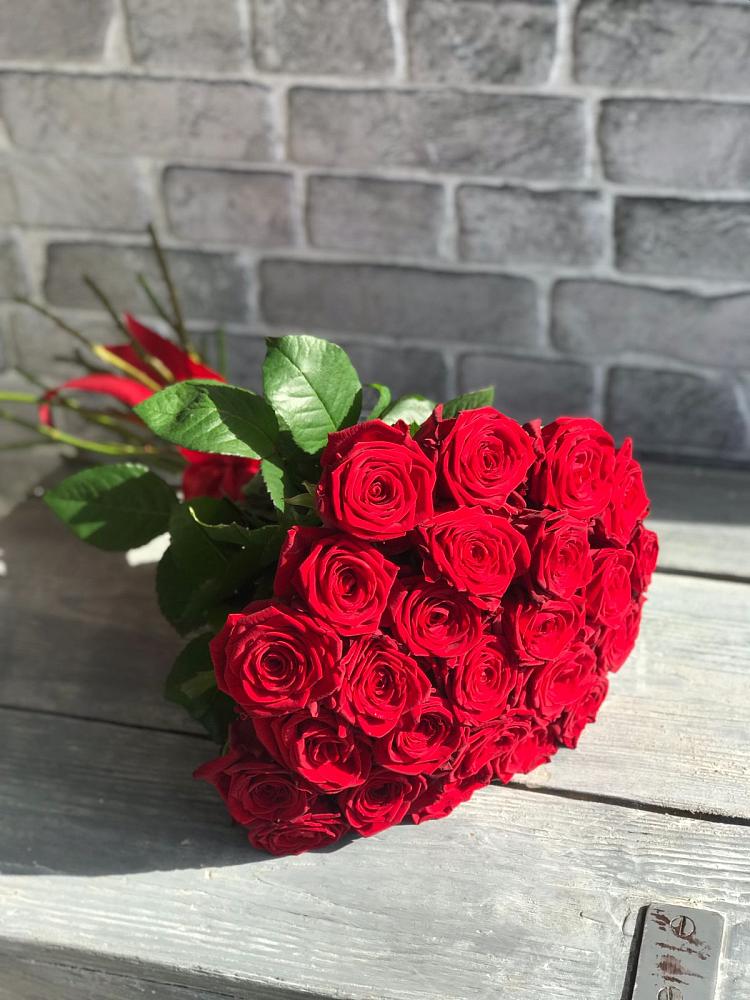 Букет Красные розы Фридом в Михайловка Башкортостан