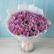 Букет цветов из:  Хризантемы #REPLACE_PRED# Михайловка Башкортостан