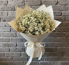 Букет цветов из:  Ромашки в Михайловка Башкортостан