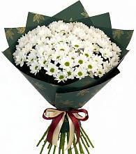 Букет цветов из:  Хризантемы в Михайловка Башкортостан