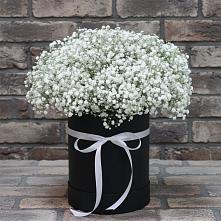 Цветочная композиция из Гипсофила в шляпной коробке в Михайловка Башкортостан