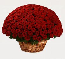 Премиум букет из: Розы в Михайловка Башкортостан