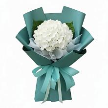 Букет цветов из:  Гортензия в Михайловка Башкортостан